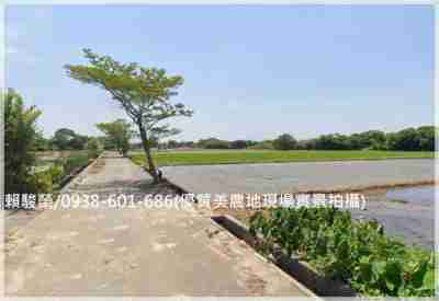 售楊梅民有一路【富岡國中】優質880美農地農地1,408萬