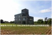 售桃園市大園區中壢交流道【大江購物中心】全新田園大農舍農舍4,500萬