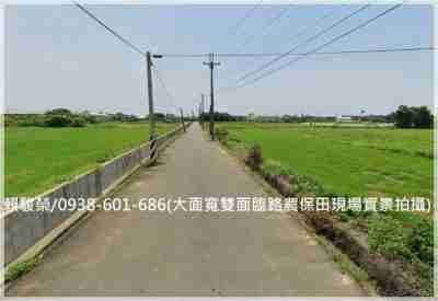 售中壢月桃路【山東國小】雙面路398農保農地農地1,512萬