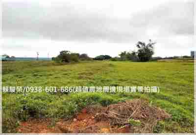 售中壢【月桃路一段】雙面臨路投資農地1167坪農地2,311萬
